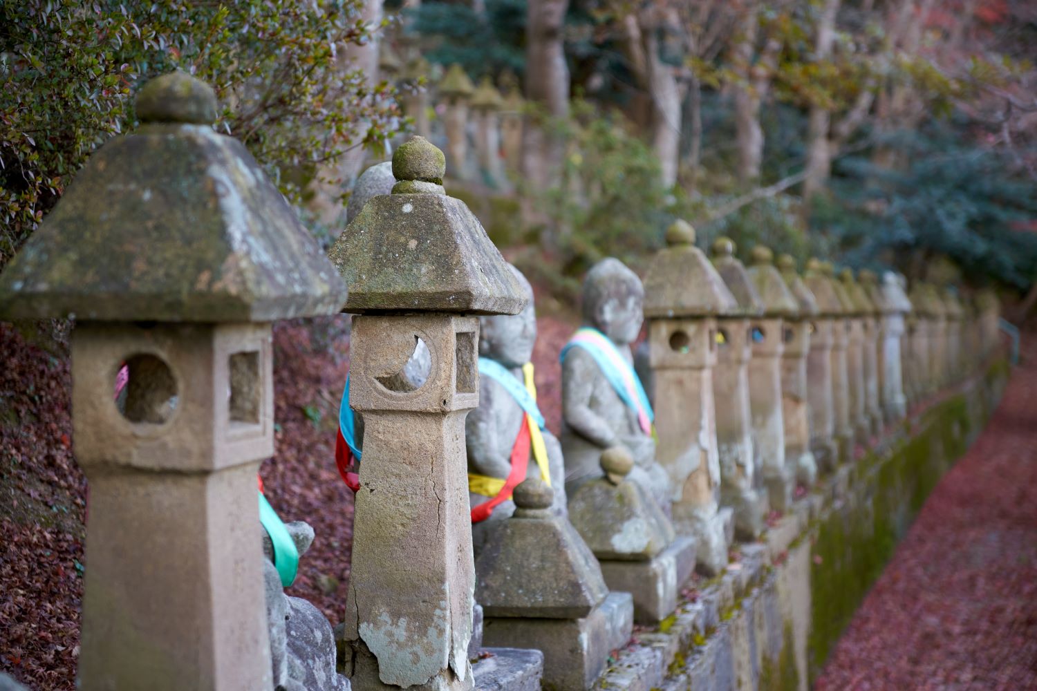 Moss-covered stone lanterns and stone Buddhas stand in a row. Stone Buddhas draped in cloth stand quietly amidst the autumn scenery.