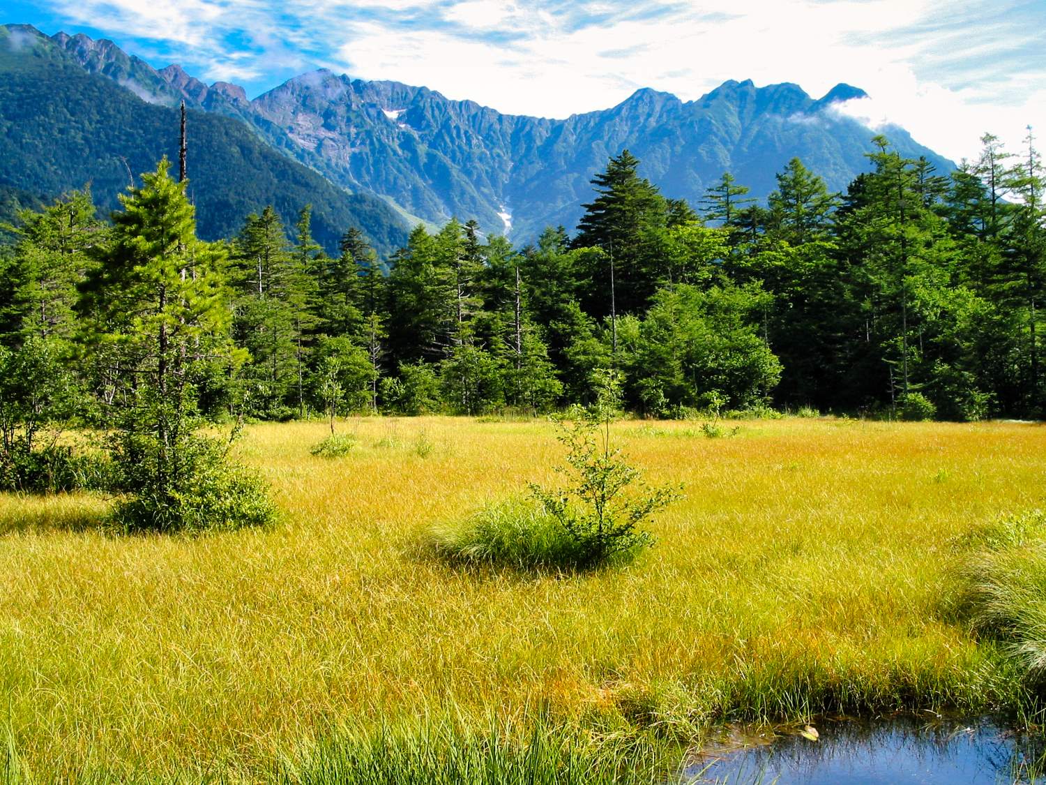 The Hotaka Mountain Range viewed from Kamikochi and Tashiro Wetlands. A landscape photograph featuring golden grasslands, forests, and a vast blue sky.