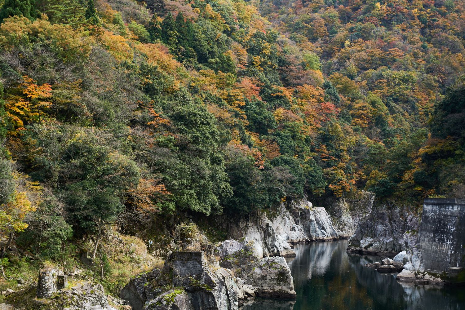 The tranquil river flowing through the valley of Jinzukyo Gorge, surrounded by mountains and rock faces dyed in autumn colors