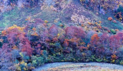 The crimson and golden autumn leaves coloring the valley around Shōmyō Falls and the flowing river