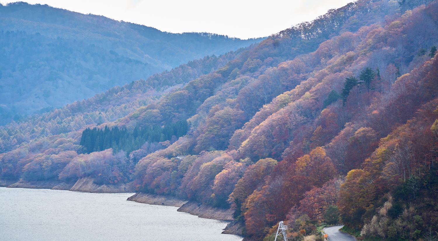 The slopes of the mountains, now ablaze with autumn colors, press close to the shores of Lake Arimine. A landscape unfolds along the lake's surface, where trees dyed red, orange, and yellow spread out.