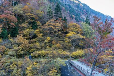 The entrance to Hachirozaka at Shomyo Falls, scenes of the mountain slopes enveloped in autumn foliage and the trailhead.