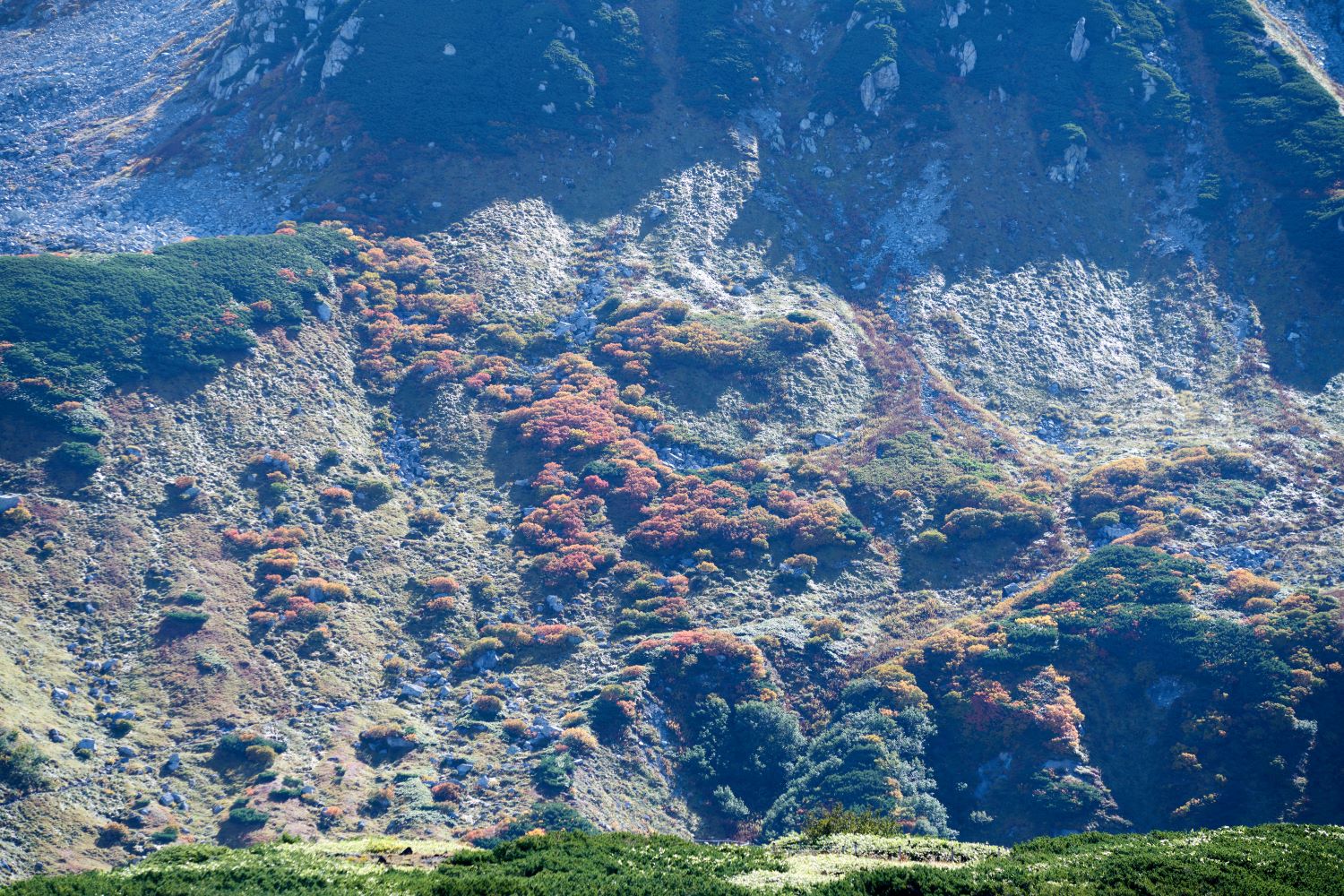 The autumn foliage of mountain ash and other trees scattered across the rocky slopes halfway up Mount Oyama is turning red and orange.