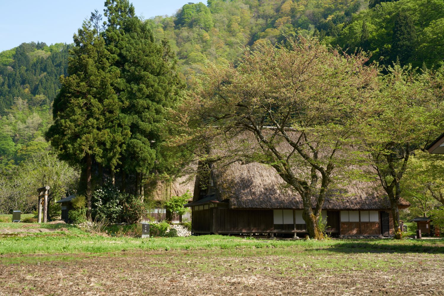 Gokayama's Gassho-style Village and Farmland Scenery