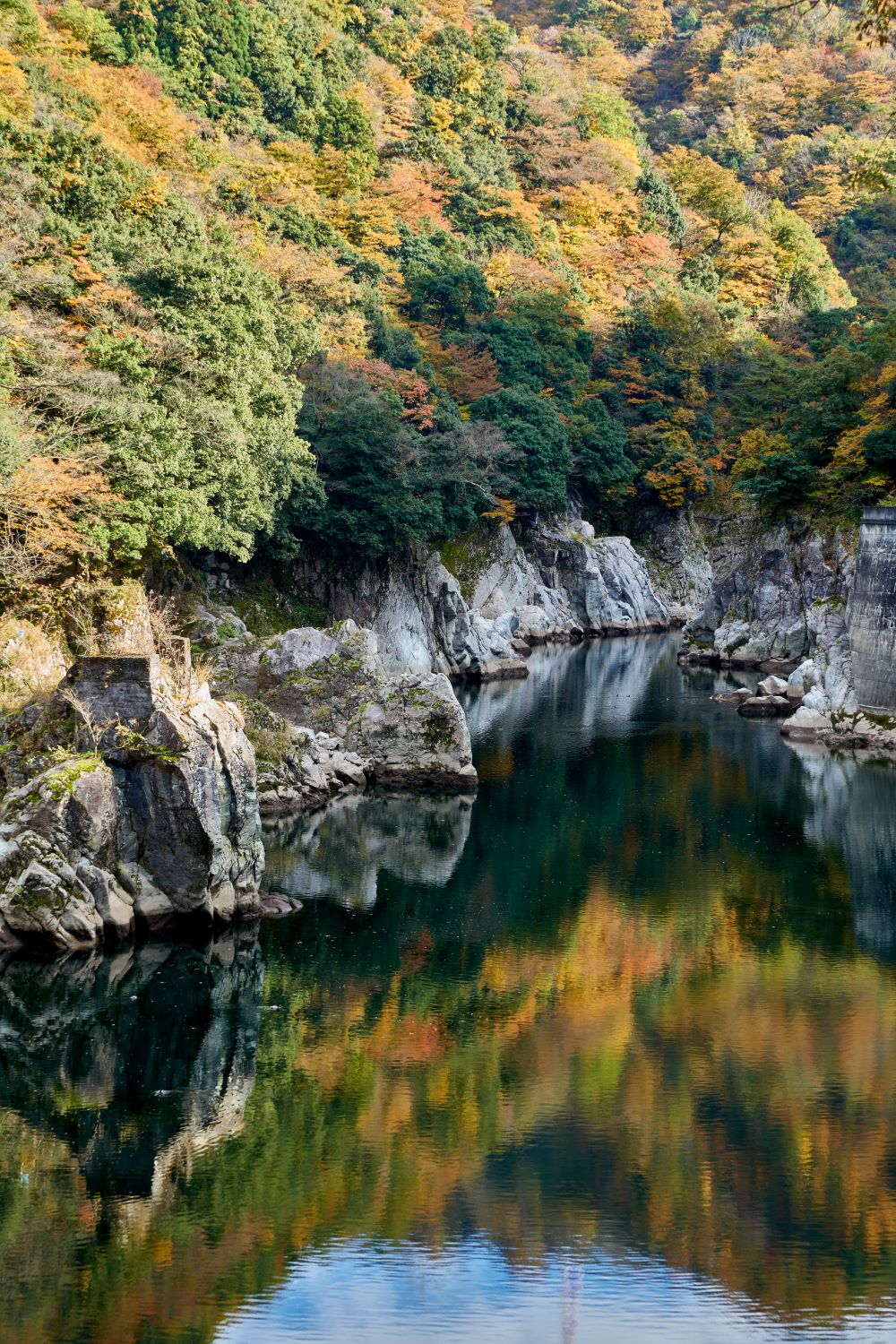 Autumn trees vividly reflected on the canyon's rock walls and river surface