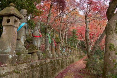 Stone Buddhas and stone lanterns line the approach beneath trees dyed in autumn colors. Brightly colored cloth adorns the chests of the stone Buddhas.