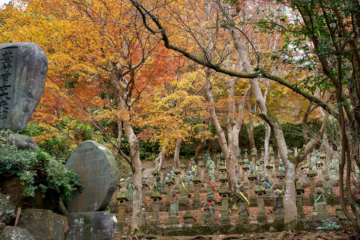 Gohyaku Rakan statues stand in orderly rows around the monument. In the background, maple leaves spread out, their colors shifting from yellow to red.