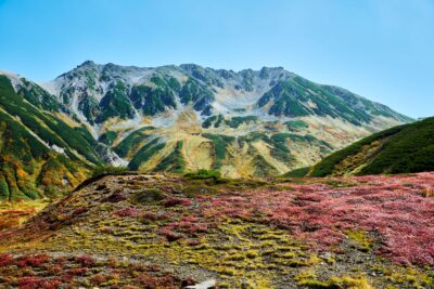 The slopes of Mt. Tateyama, dyed in autumn colors, with a foreground landscape of alpine plants turning crimson