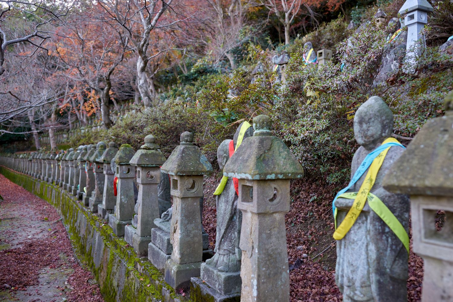Stone Buddhas and stone lanterns line the approach to Gohyaku Rakan in Toyama City. Stone Buddhas draped in colorful cloth and fallen leaves evoke the deepening of autumn.