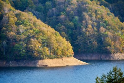 The forest along Lake Arimine's shore, ablaze with autumn colors. A scene where yellows and greens blend, reflecting autumn's hues upon the lake's surface.