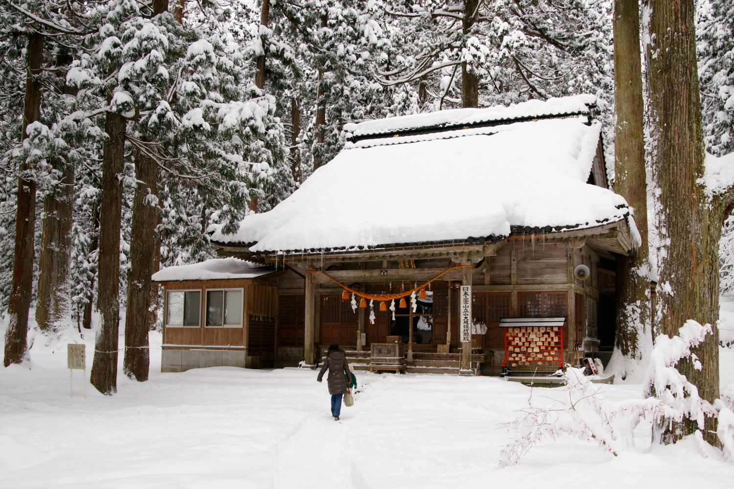 Oyama Shrine in Iwakuraji, Toyama City. A winter scene where worshippers walk toward the main hall standing in the snow-covered precincts.