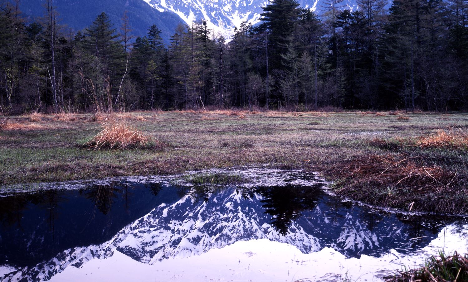 Mount Hotaka reflected in a pool at Tashiro Marsh. A landscape photograph showing the mountain range crowned with early winter snow inverted.