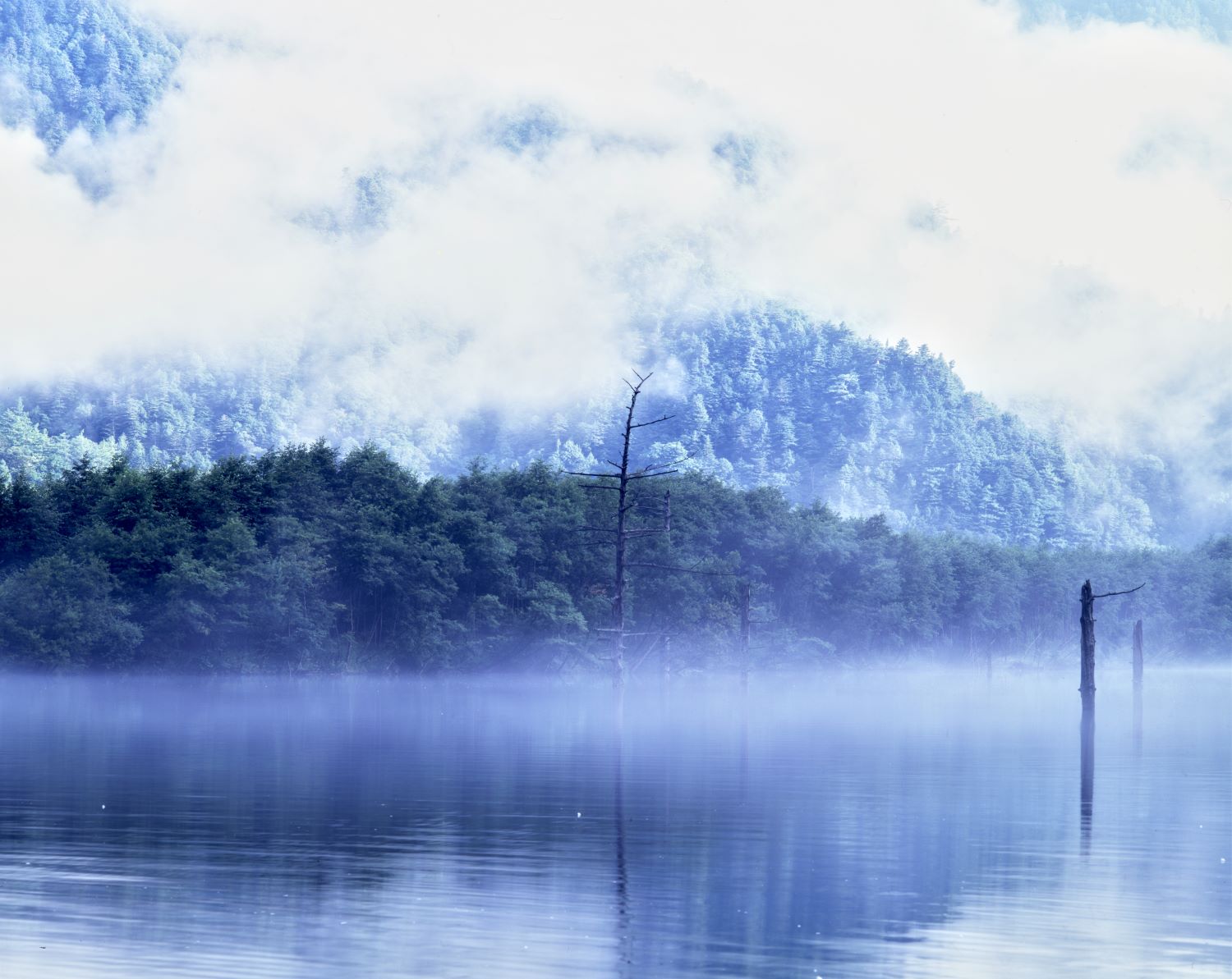 Kamikochi's Taisho Pond shrouded in morning mist. A fantastical scene where dead trees and forests float within the haze.