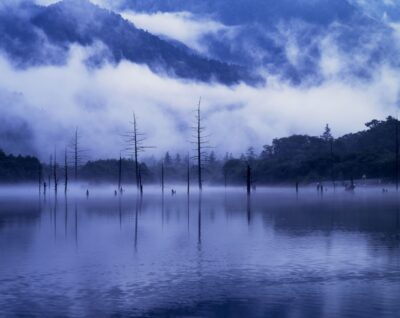 Lake Taisho in Kamikochi, shrouded in morning mist. A fantastical scene where dead standing trees are reflected on the lake's surface.