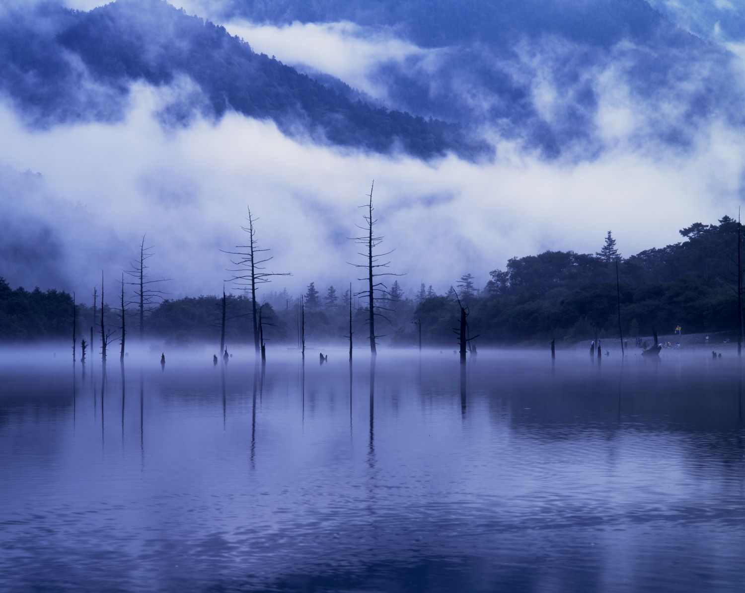 Lake Taisho in Kamikochi, shrouded in morning mist. A fantastical scene where dead standing trees are reflected on the lake's surface.