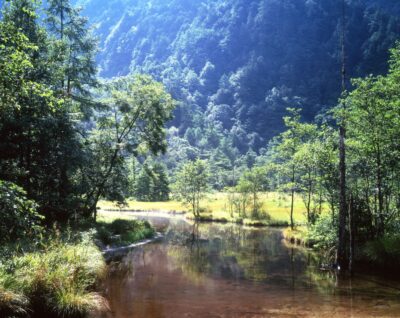 Summer scenery at Tashiro Pond. Vegetation reflects on the clear water surface, with green mountains stretching out in the background.