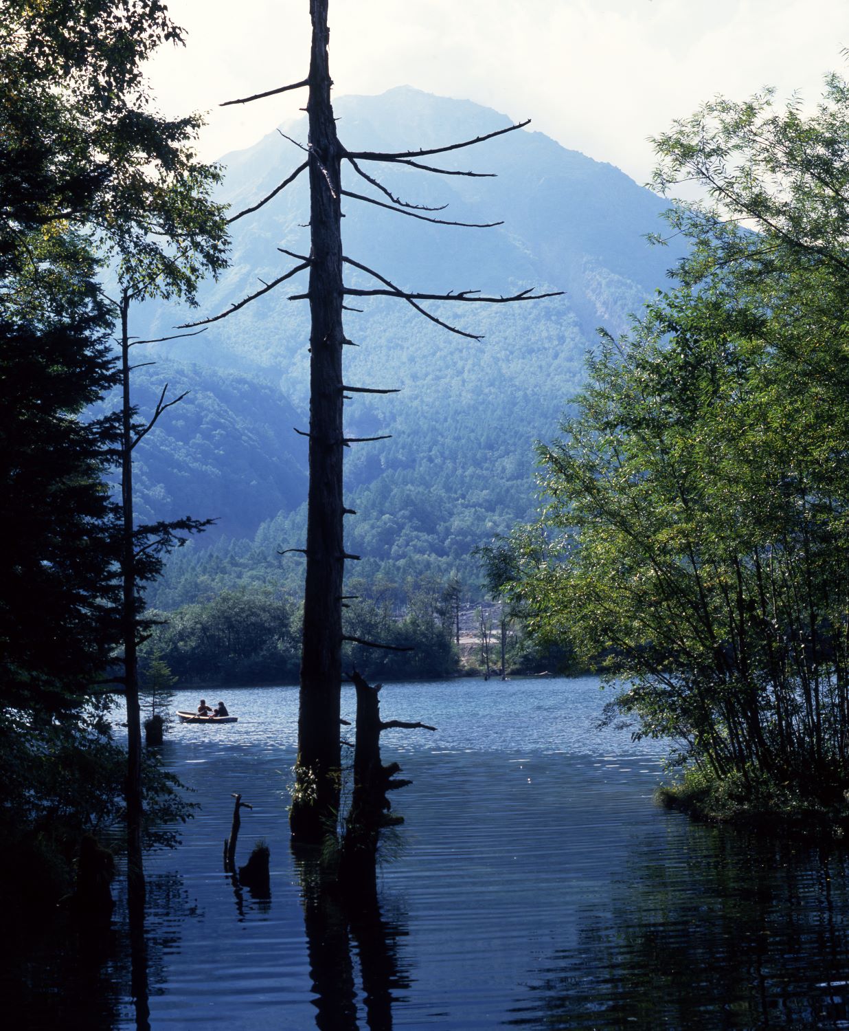 A summer landscape photograph of Mount Yake seen from the lakeshore of Taisho Pond, featuring a standing dead tree and a small boat in the foreground.
