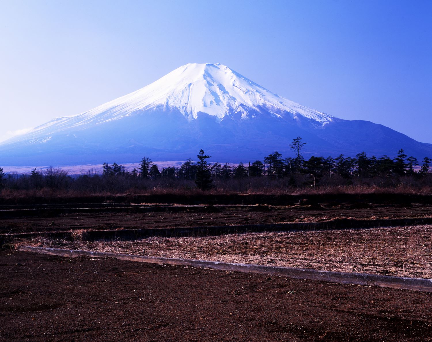 A landscape photograph showing Mount Fuji covered in snow against a blue sky, viewed head-on, with farmland spreading out in the foreground.