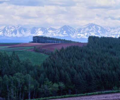 A landscape photograph of Biei: fields of red earth and green forests, with snow-capped mountains towering beyond.