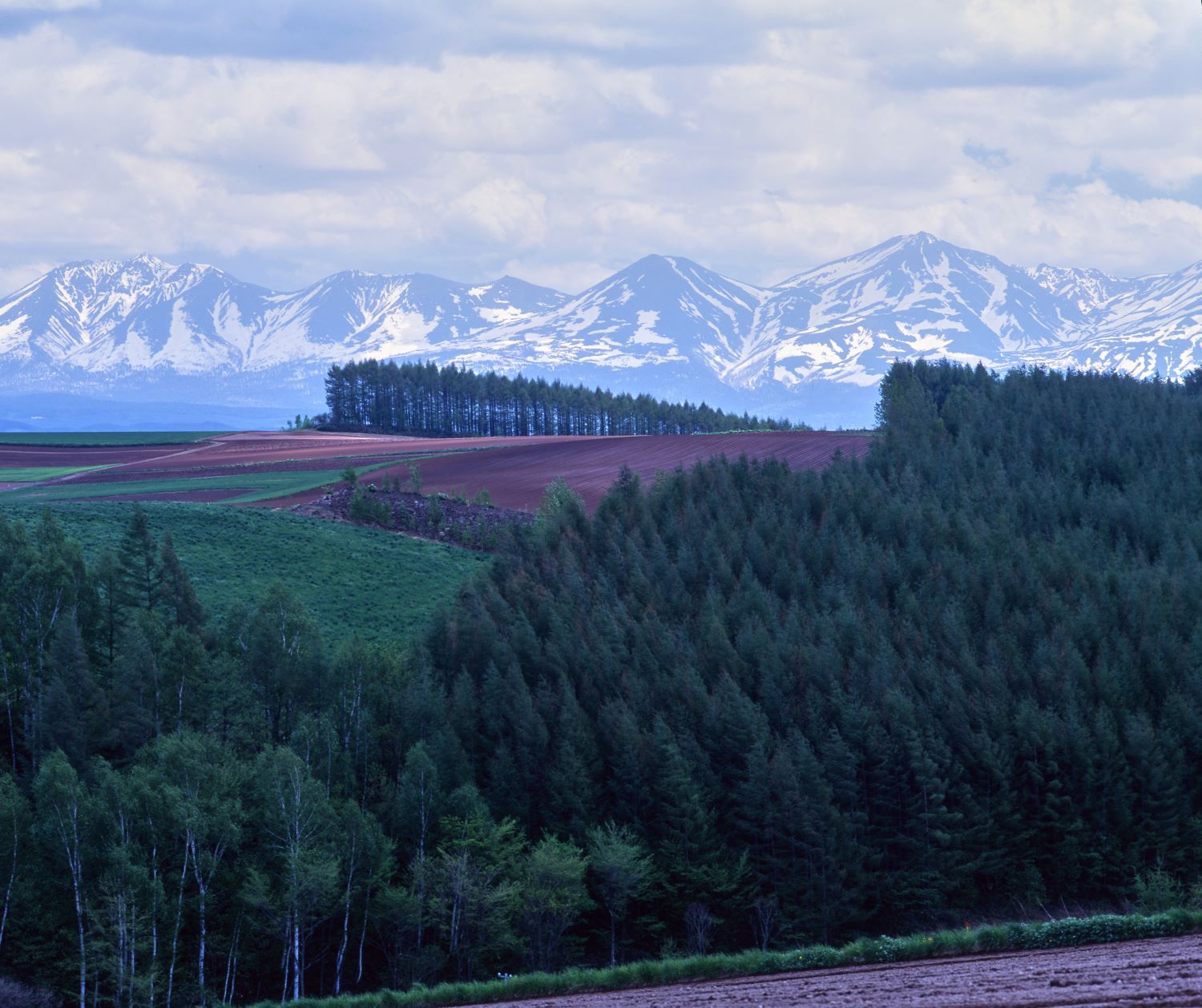 A landscape photograph of Biei: fields of red earth and green forests, with snow-capped mountains towering beyond.