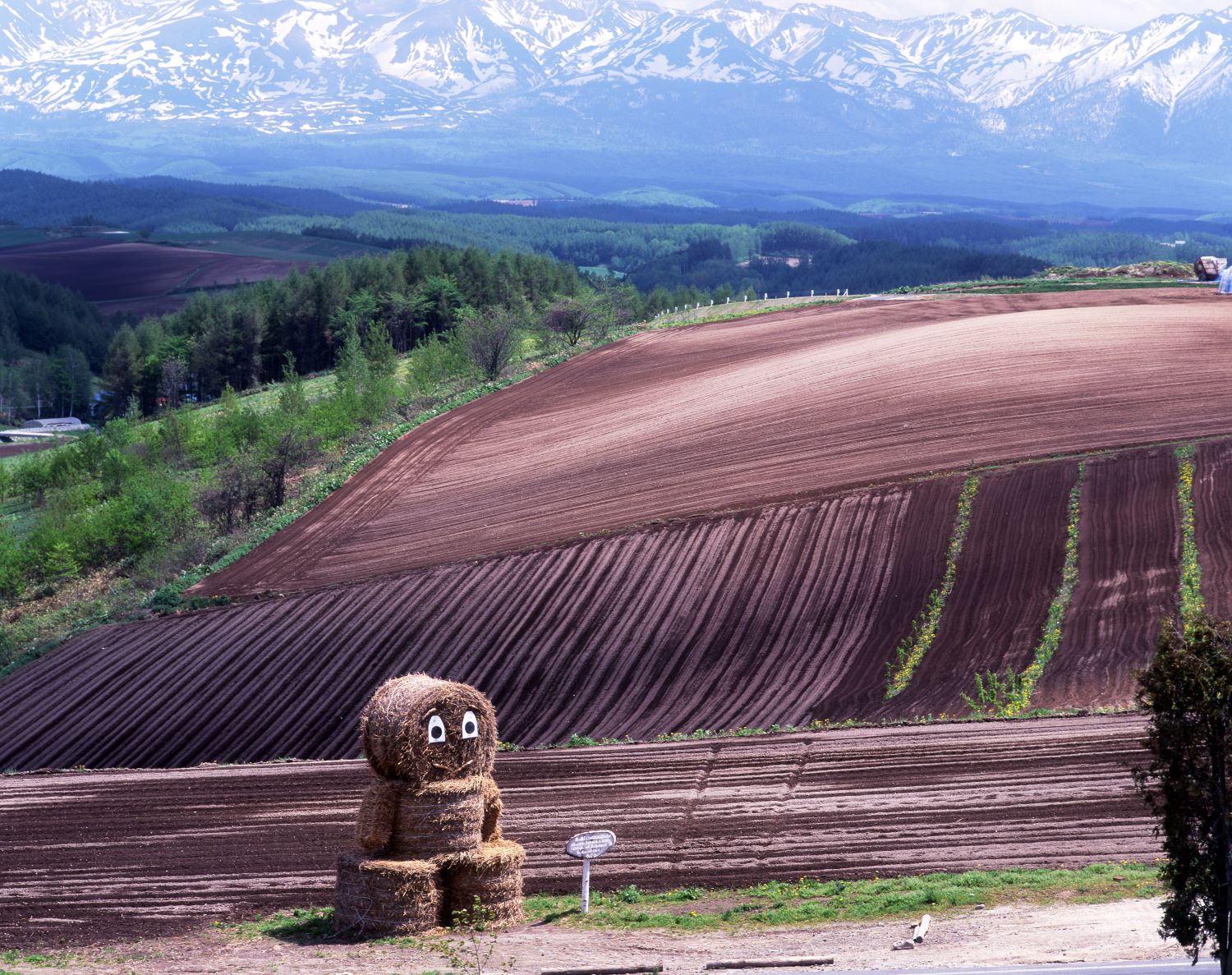 A character made of hay, a hill of plowed fields, and snow-capped mountains visible beyond.