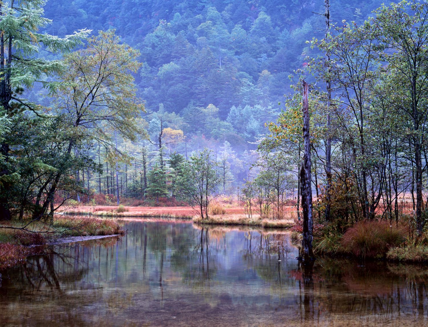 Autumn scenery at Tashiro Pond. A tranquil scene where the colors of grasses and trees reflect on the lake's surface.