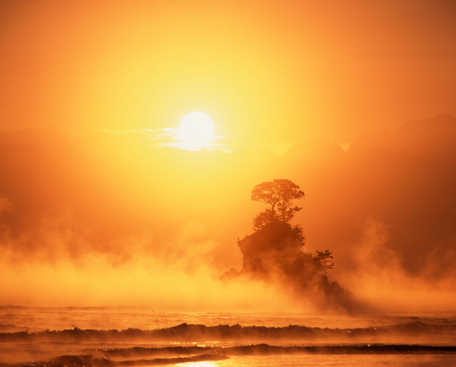 A fantastical scene overlooking the misty haze and pine trees atop the rocks at Amabarashi coast, enveloped in the golden morning sun.