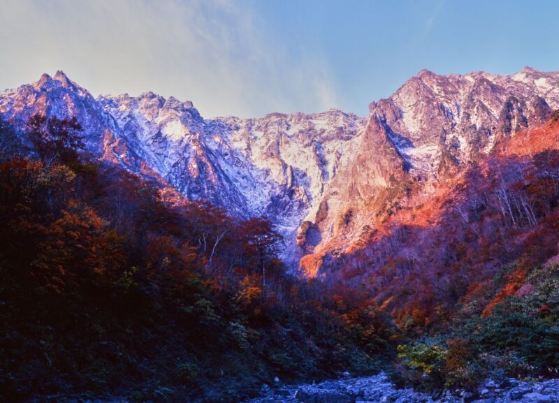 Beyond the forest of crimson autumn leaves, the rugged rock face of Tanigawa-dake's Ichinokurazawa, draped in snow, stretches out.