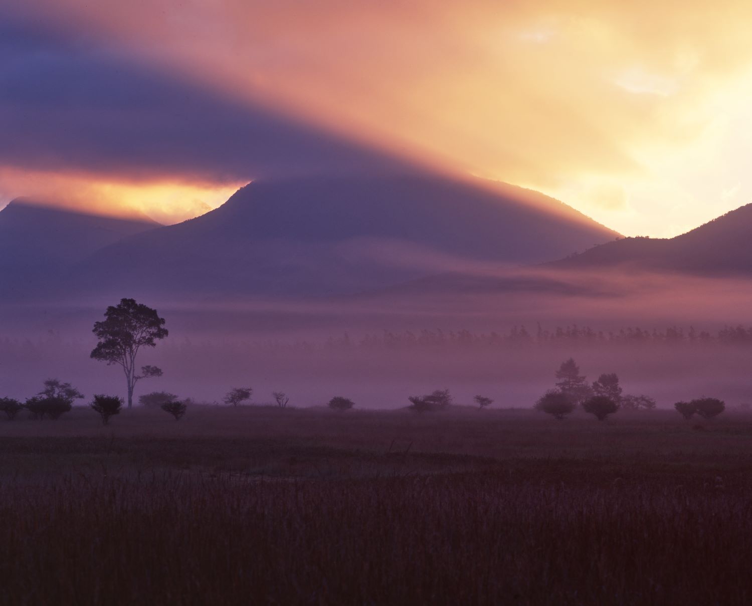 The morning sun streams through the clouds, drenching the mountains and wetlands in shades of purple and orange.