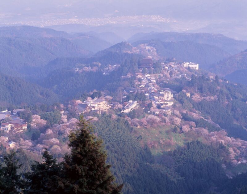A panoramic view from the summit of Yoshinoyama. Temples and lodging houses surrounded by cherry blossoms are scattered about, and the townscape stretches along the ridgeline.