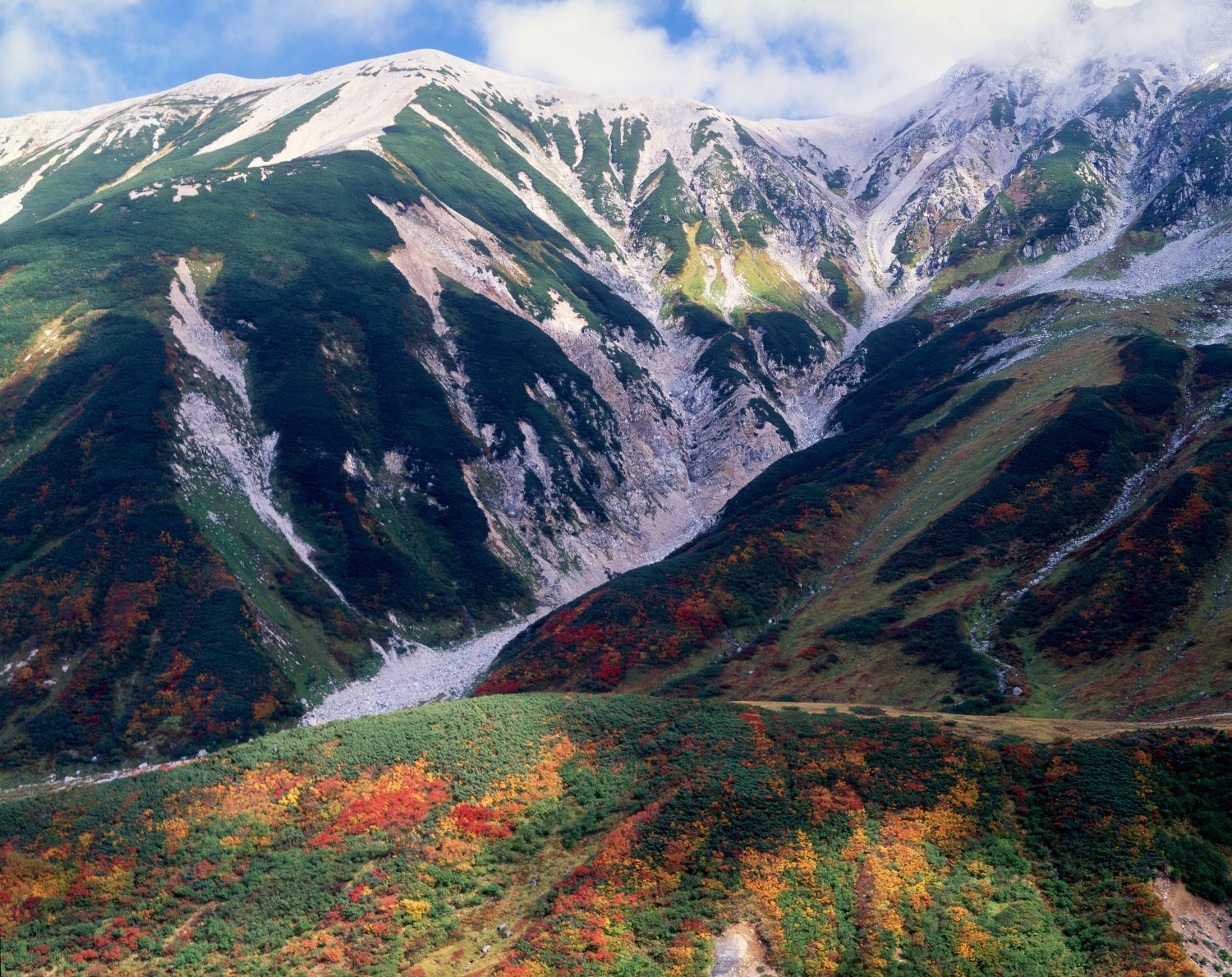 Autumn scenery at Mt. Tateyama: crimson and golden autumn leaves spread across the mountainside against the backdrop of Mount Oyama's white rock face and the first snow near the summit.