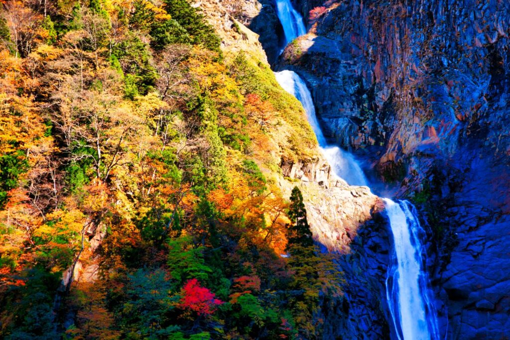 Shōmyō Falls cascades down the canyon of Mt. Tateyama. White water glides over the rock face, while vibrantly colored trees surround the falls.
