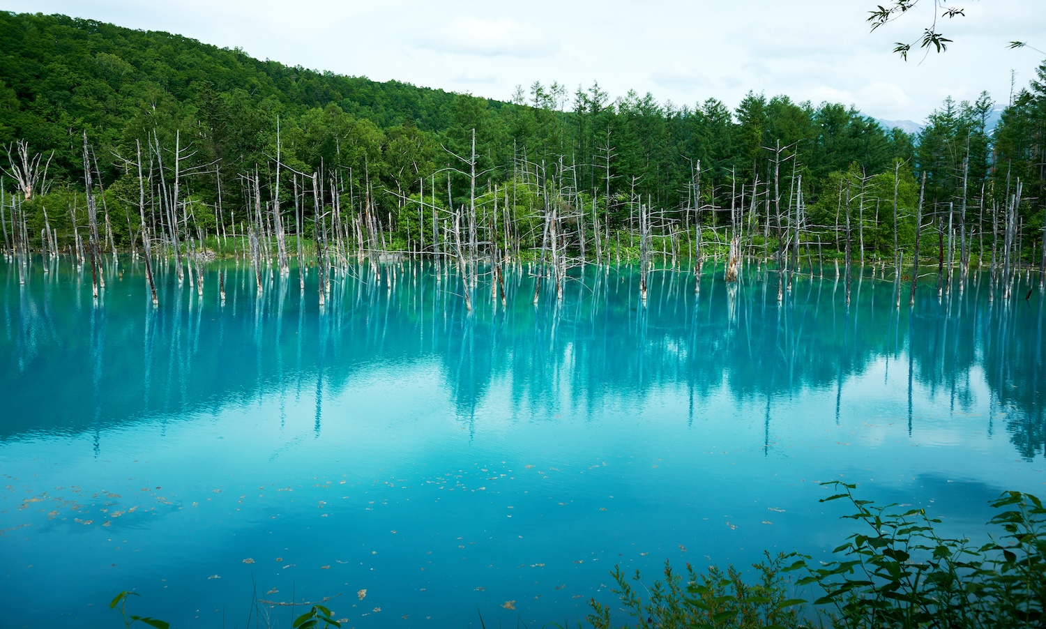 A pond enveloped in a world of blue