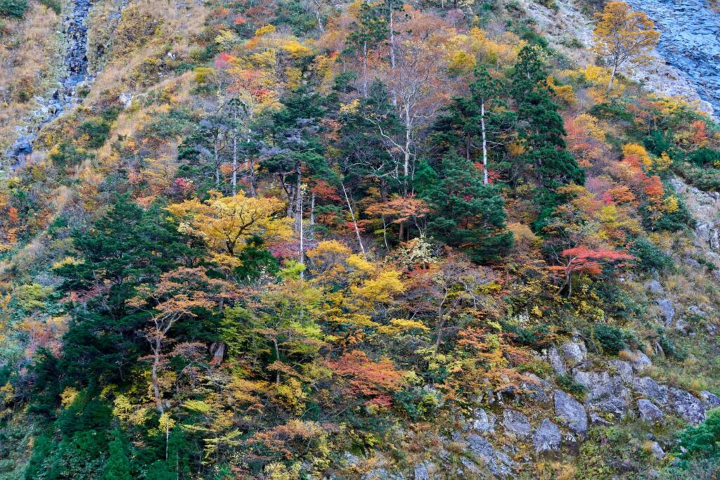 Autumn foliage spreads across the rocky mountains surrounding Shōmyō Falls. Layers of red, yellow, and green trees vividly transform in color.