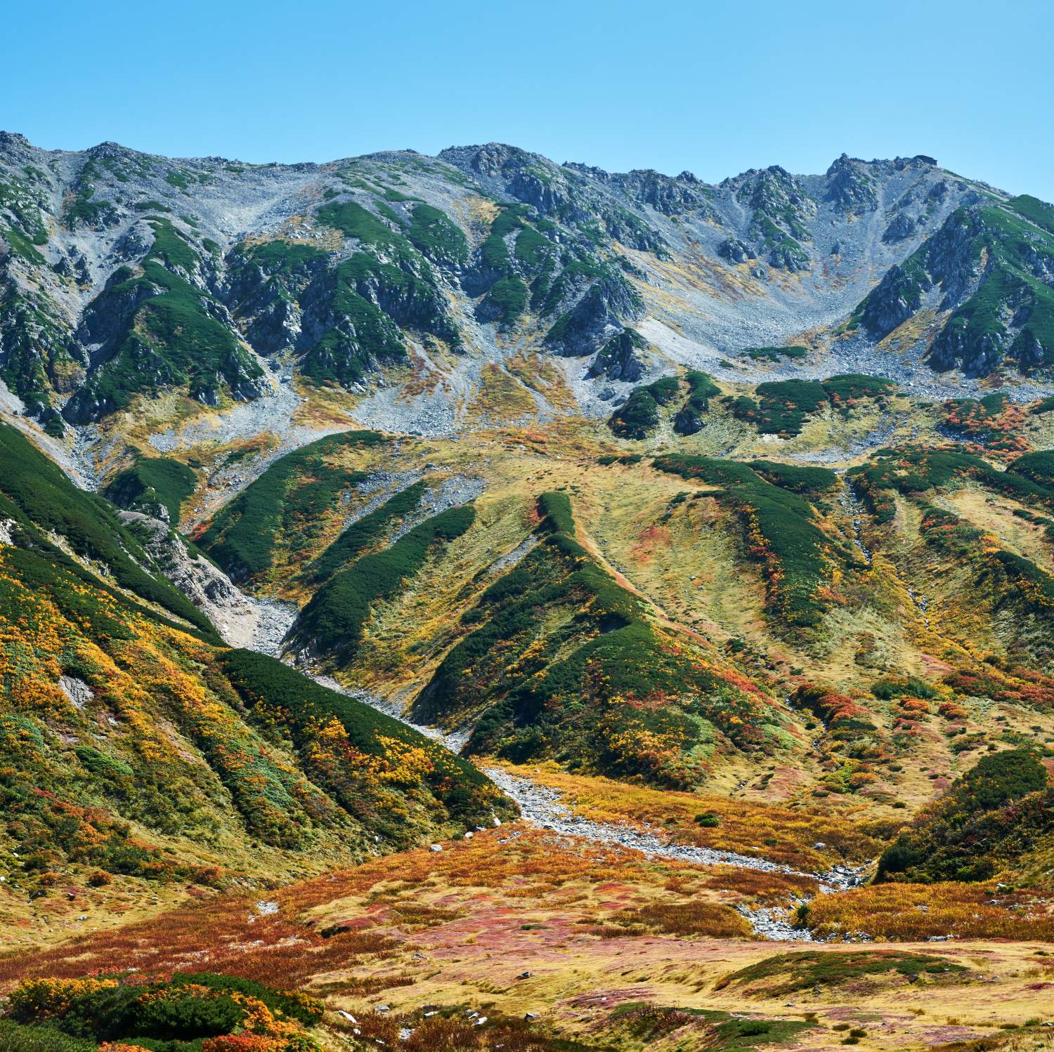 Autumn scenery of Mt. Tateyama. The mountain slopes are colored by dwarf pine forests and grasses turning crimson, revealing the majestic landscape of Mt. Tateyama stretching beneath the blue sky.