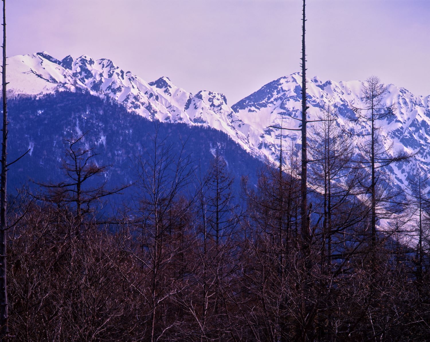 Late autumn view of the Hotaka mountain range from Kamikochi: snow-capped peaks and a landscape of deciduous forests shedding their leaves