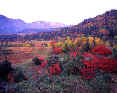 Viewing Mount Okudainichi through the autumn foliage of Mitagahara Highlands. The autumn scenery of Mt. Tateyama, where red and yellow trees color the highlands.