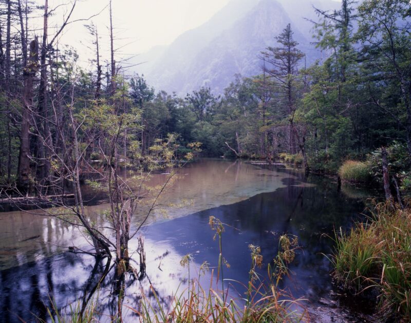 The scenery of the wetlands along the Azusa River in Kamikochi. Trees stand along the clear, shallow water surface, with mountain ranges hazy in the distance.