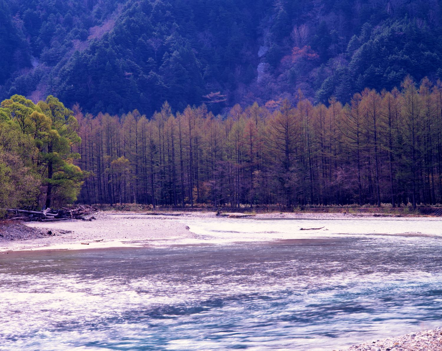 Photographs capturing the larch forests and clear streams along the Azusa River in Kamikochi. A serene landscape from summer to early autumn.