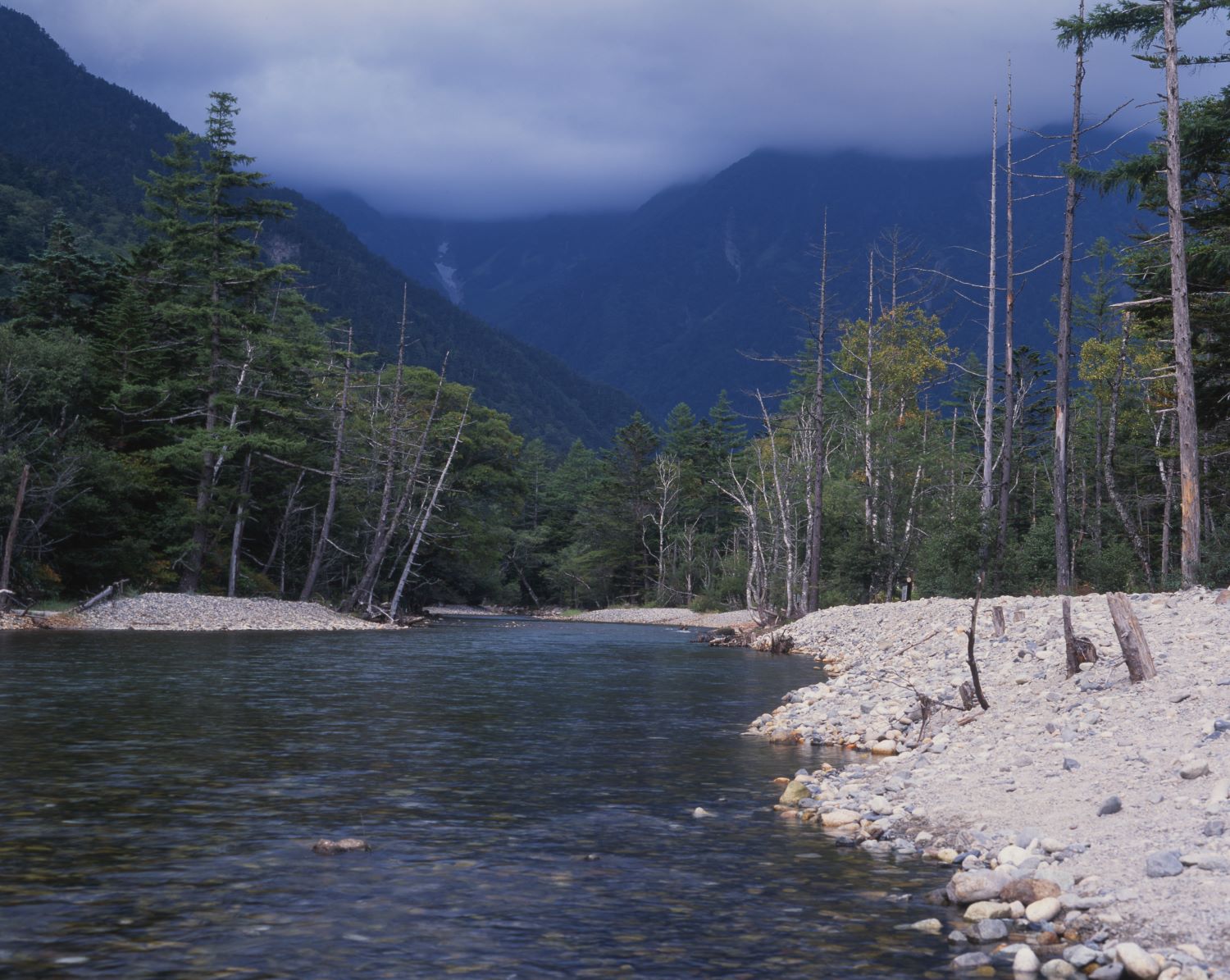 Kamikochi: The flow of the Azusa River and the riverside landscape. On the opposite bank, dead standing trees line the shore, while beyond, a range of mountains shrouded in clouds stretches out.