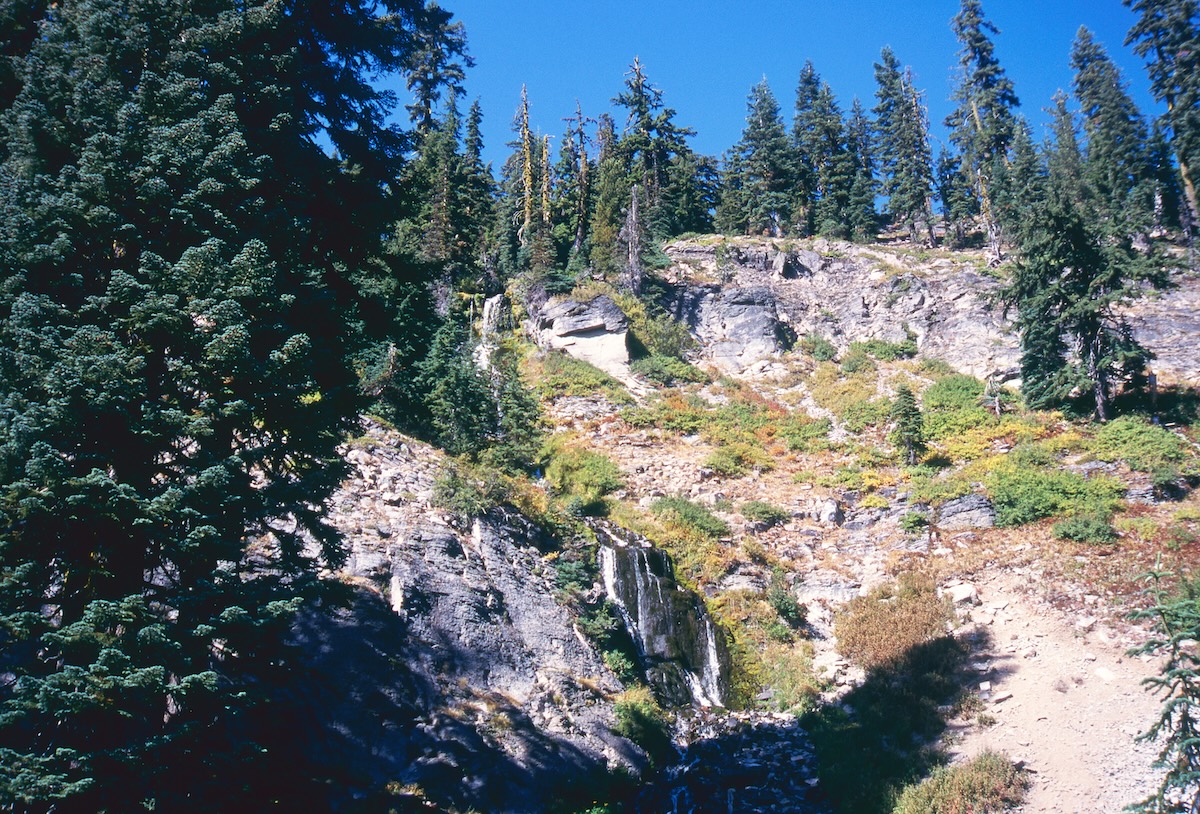 Coniferous forests growing on the slopes of Crater Lake's outer rim and exposed rock surfaces