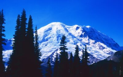 Mount Rainier is seen through the foreground conifers. Its snow-capped peak stands out against the blue sky.