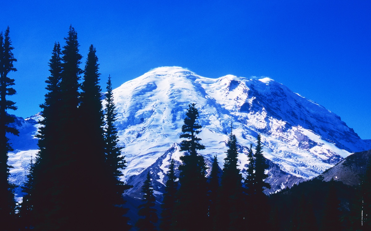 Mount Rainier is seen through the foreground conifers. Its snow-capped peak stands out against the blue sky.