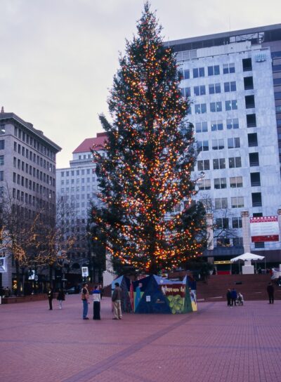 The Christmas tree illuminated at dusk in Portland's Pioneer Square