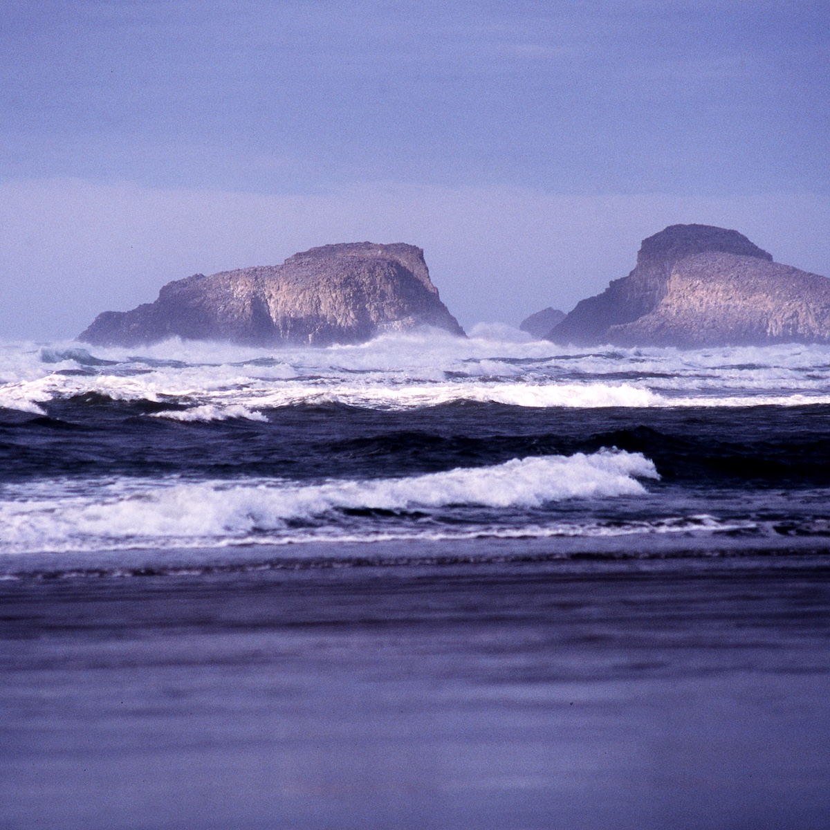 The Oregon coastline, where rocky outcrops line the shore surrounded by rough seas
