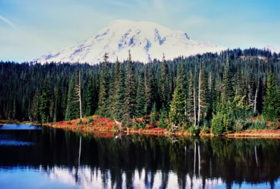 Mount Rainier seen through the thawing forest