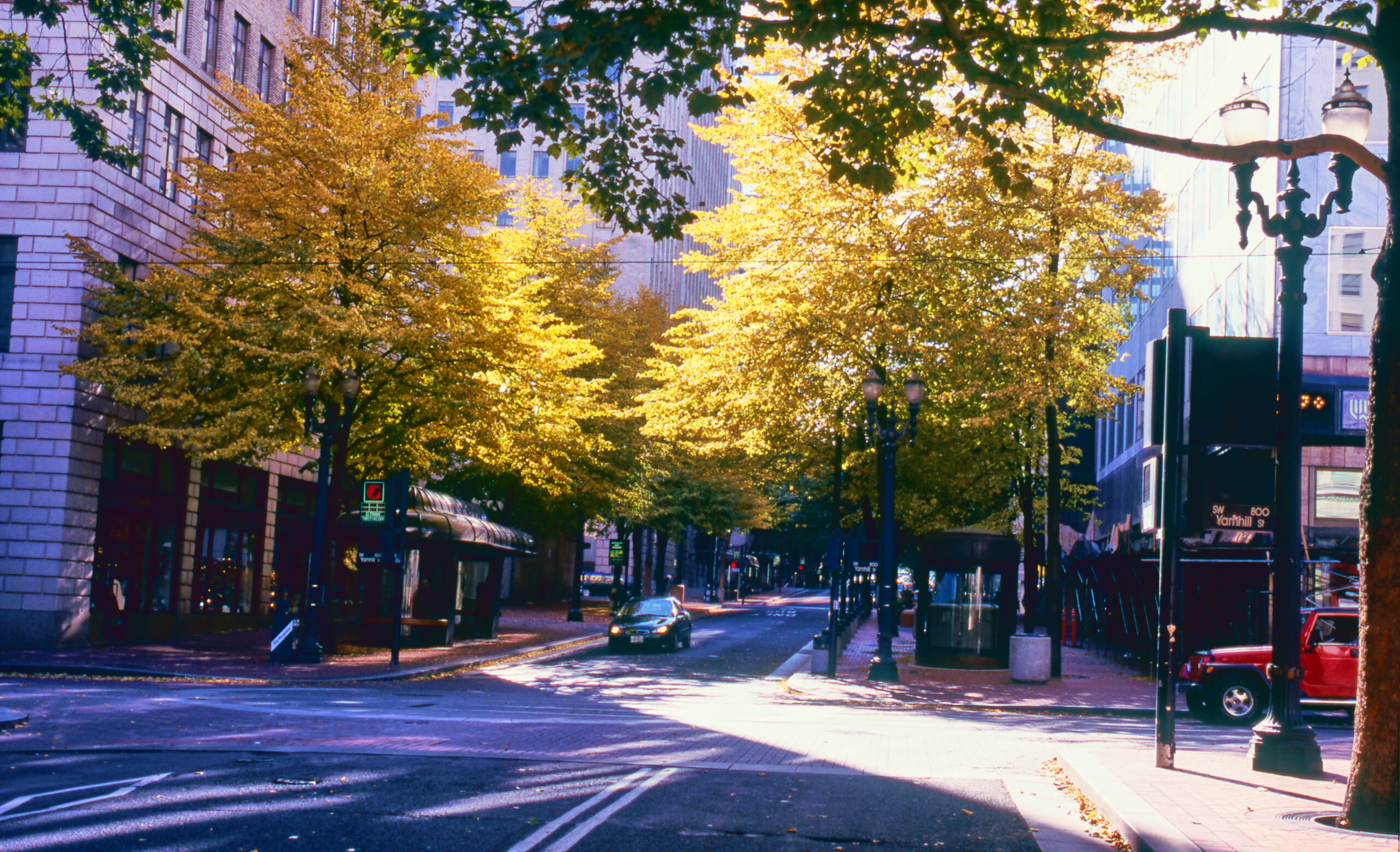 Downtown Portland, autumn trees lining the streets, their leaves dyed yellow to orange. Buildings, streetlights, and sidewalks stand in rows, creating the atmosphere of a quiet afternoon.