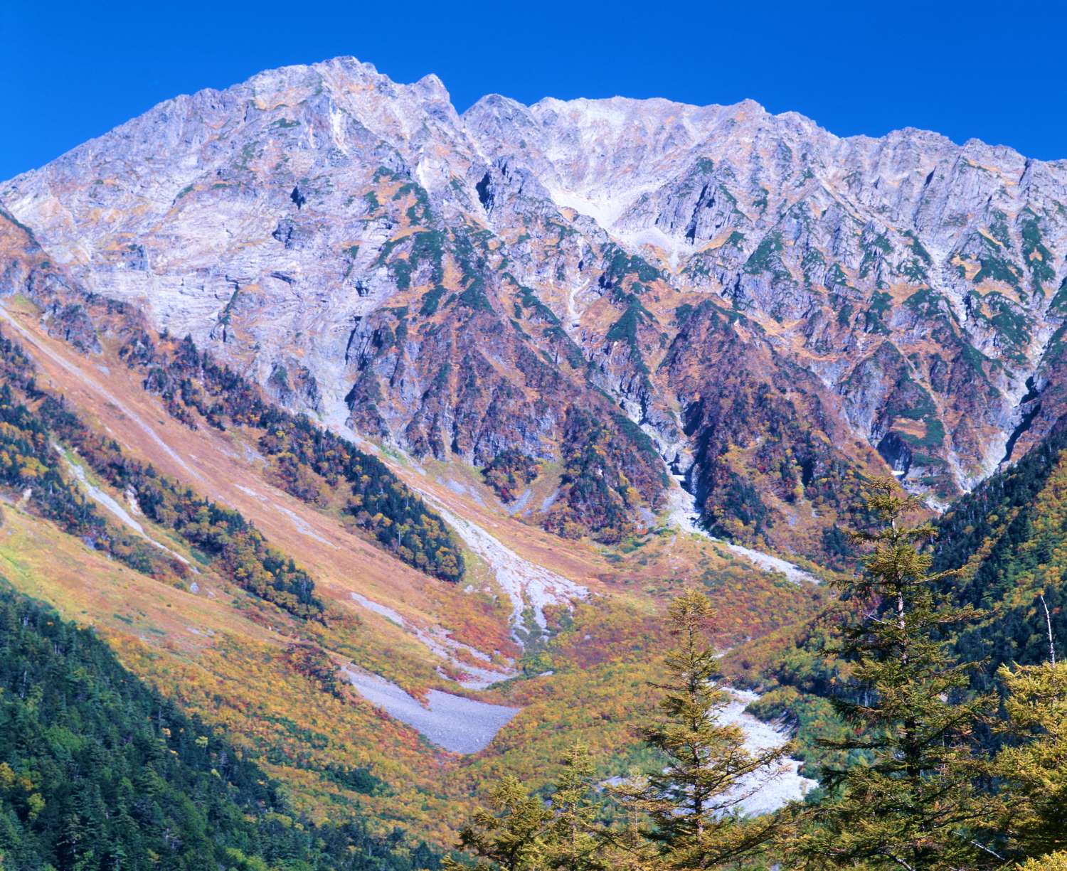Looking up at the autumn Hotaka Range from Konashidaira. The autumn leaves and blue sky are beautiful.