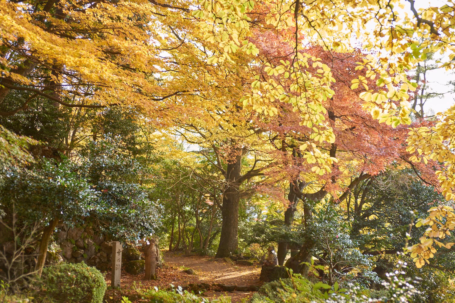 Autumn Foliage and Natural Scenery at Jike Park, Toyama City