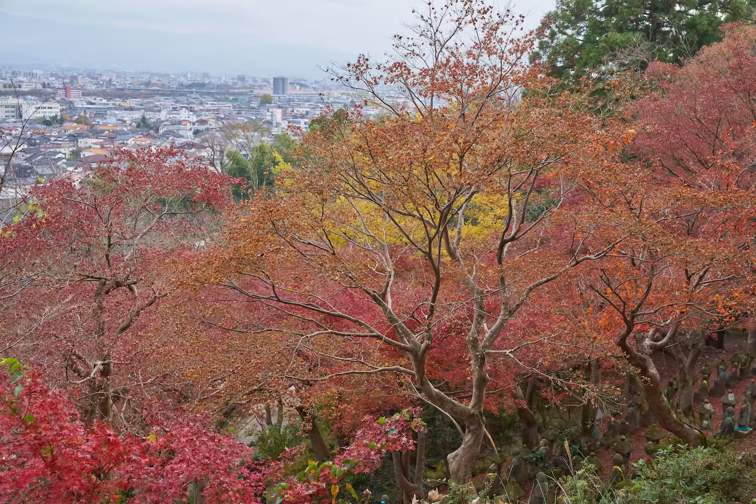 The autumn foliage at Kureyama Park and the view overlooking Toyama City
